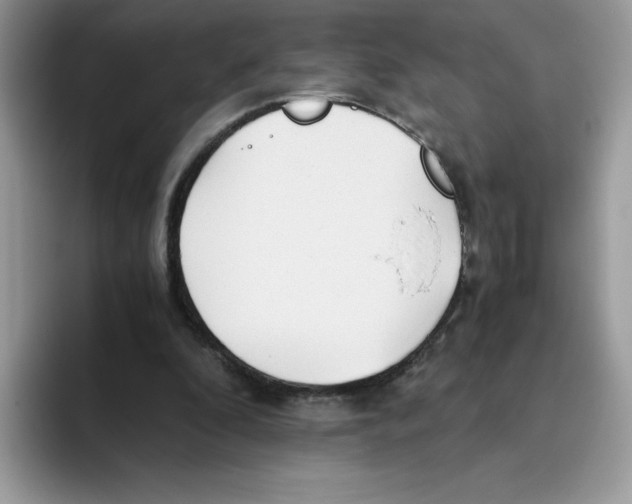 X0000093440296200711091459