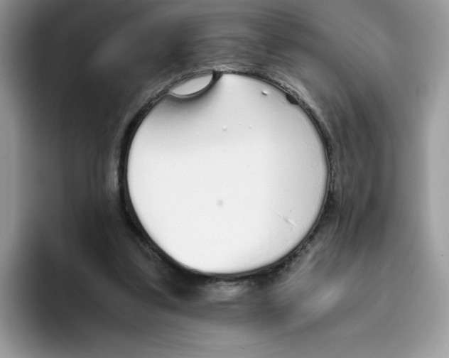 X0000093440299200711091459