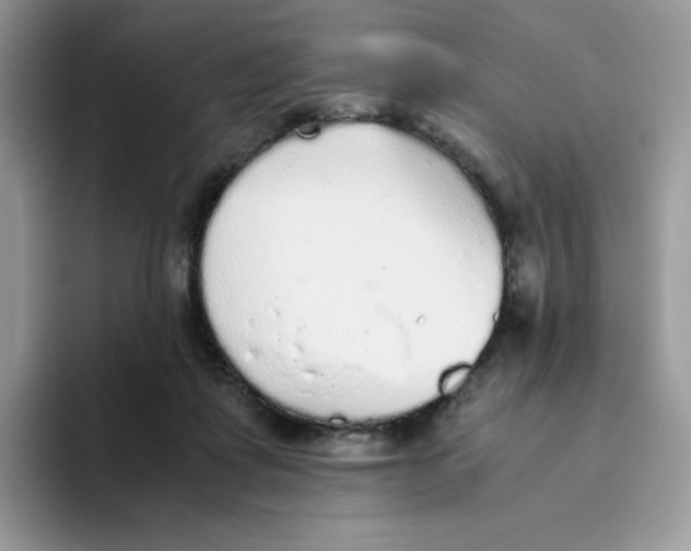 X0000093440315200711091459