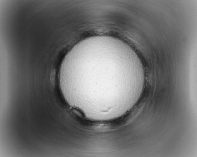 X0000093440319200711091459