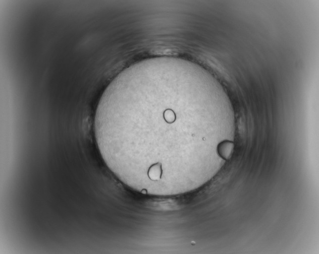 X0000093440322200711091459