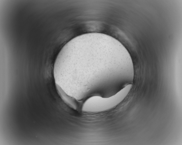 X0000093440325200711091459