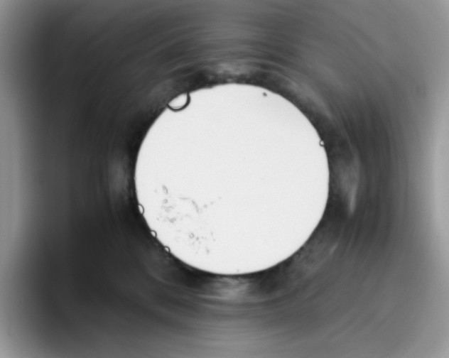 X0000093440328200711091459