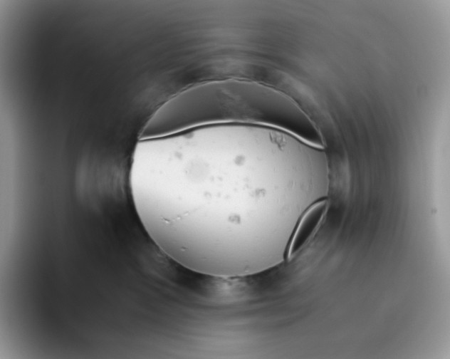 X0000093440333200711091458