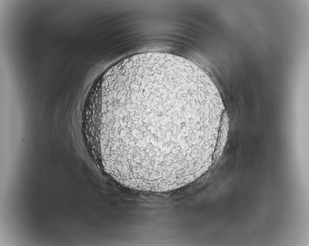 X0000093440337200711091458