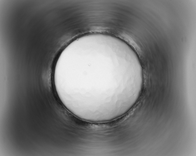 X0000093440346200711091458