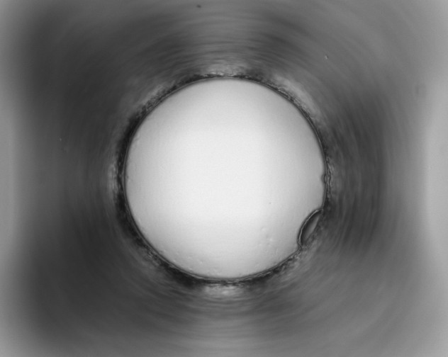 X0000093440354200711091458