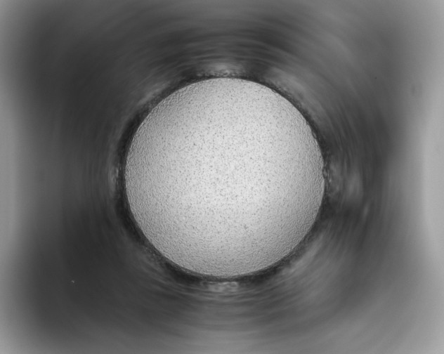 X0000093440355200711091458