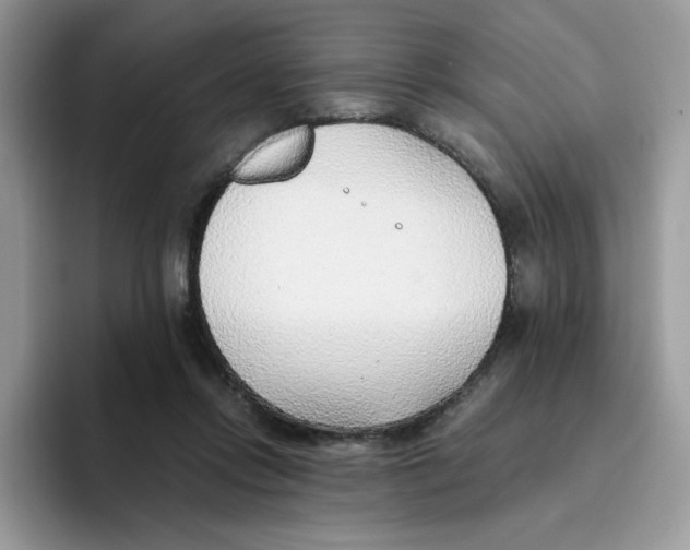 X0000093440358200711091458