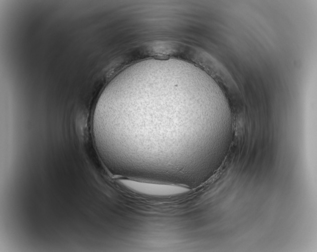 X0000093440360200711091458