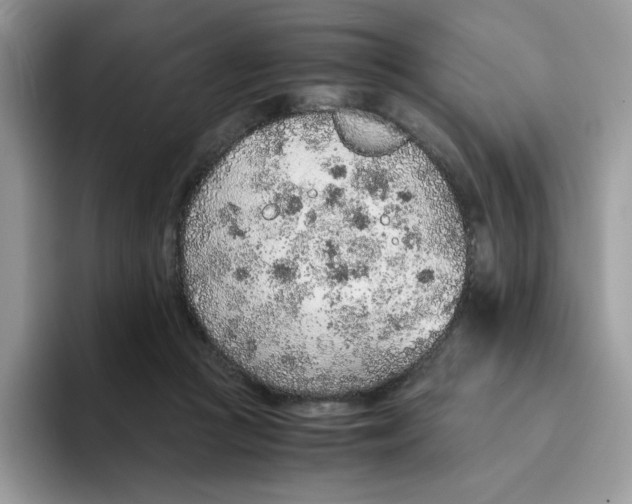 X0000093440361200711091458