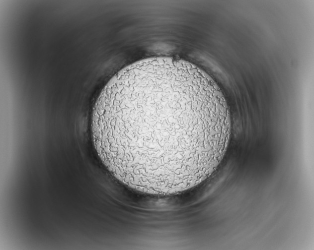 X0000093440365200711091458