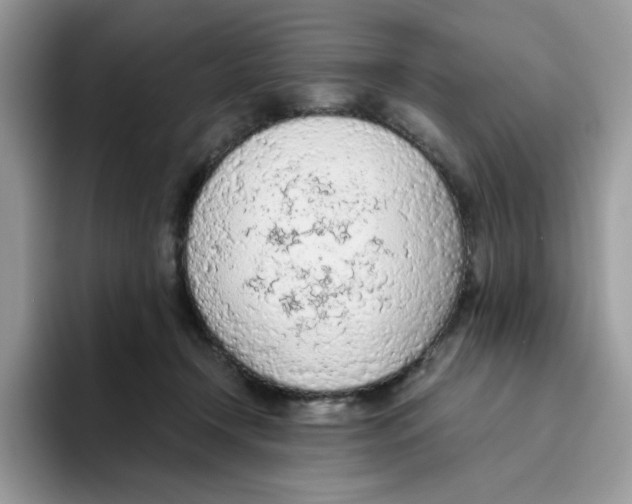 X0000093440366200711091458