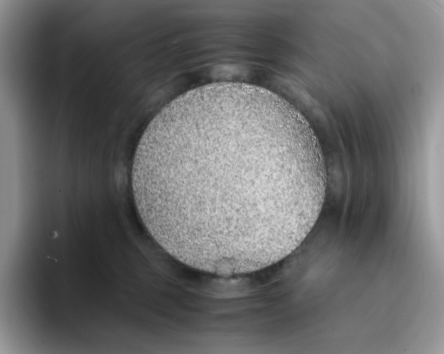 X0000093440375200711091458