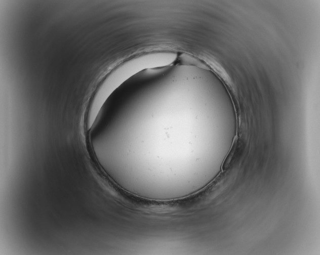 X0000093440389200711091458