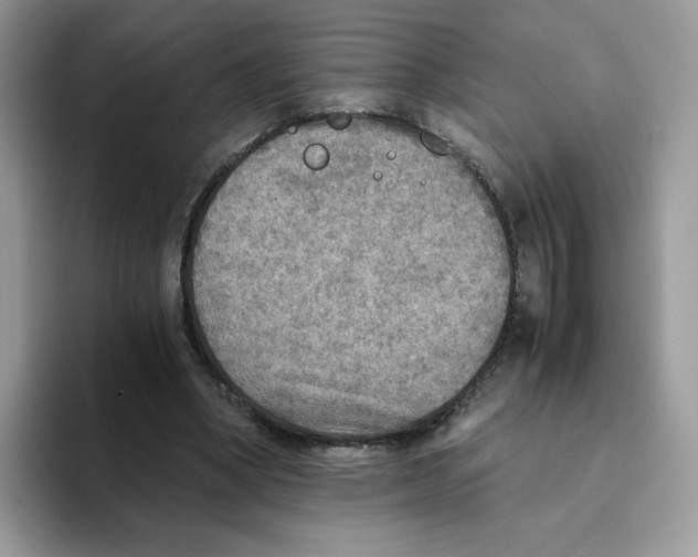 X0000093440394200711091458