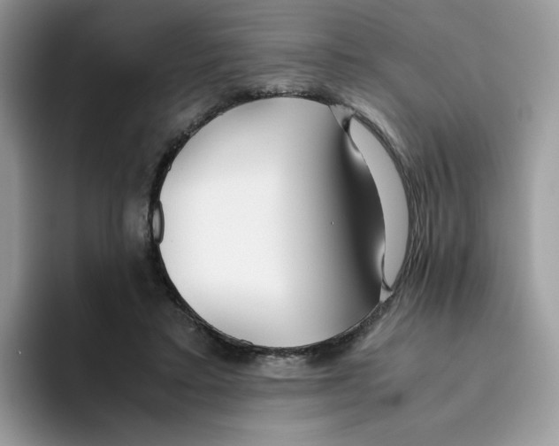 X0000093440403200711091458