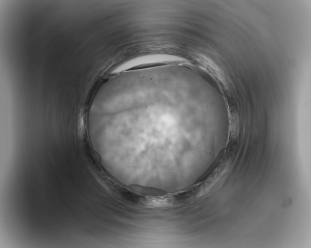 X0000093440405200711091458