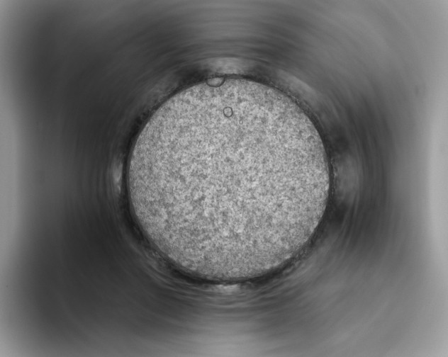 X0000093440406200711091458