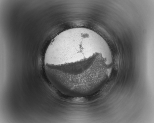 X0000093440410200711091458