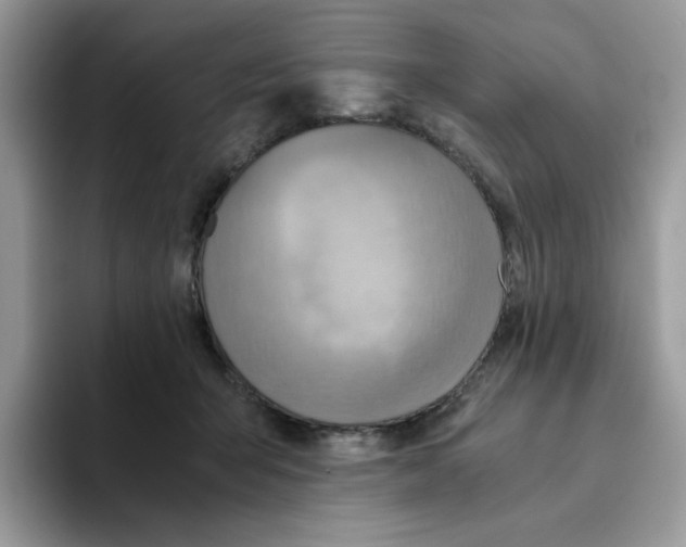 X0000093440415200711091458