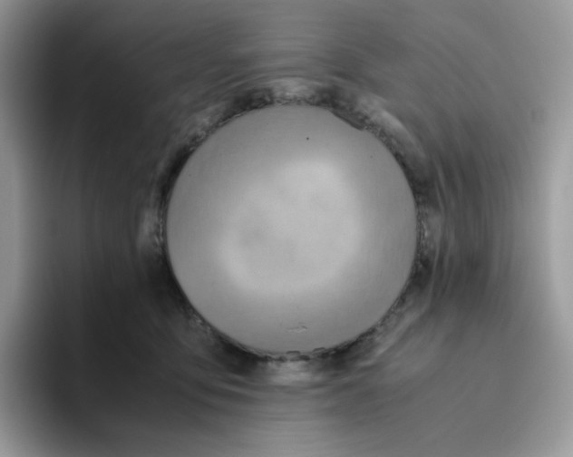 X0000093440419200711091457