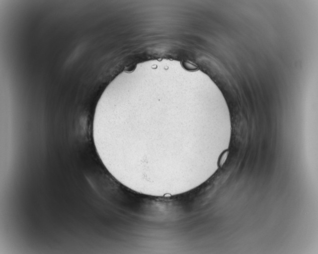 X0000093440420200711091457