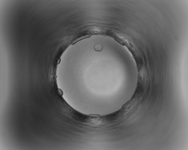 X0000093440423200711091457