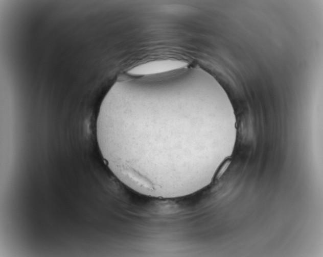 X0000093440424200711091457