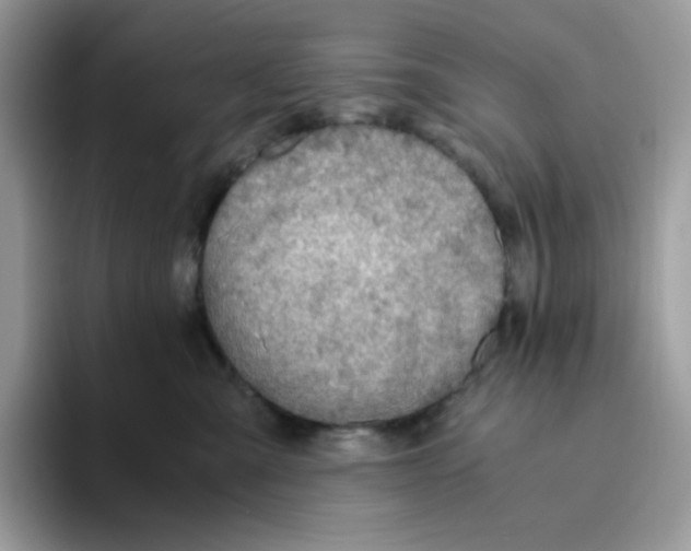 X0000093440427200711091457