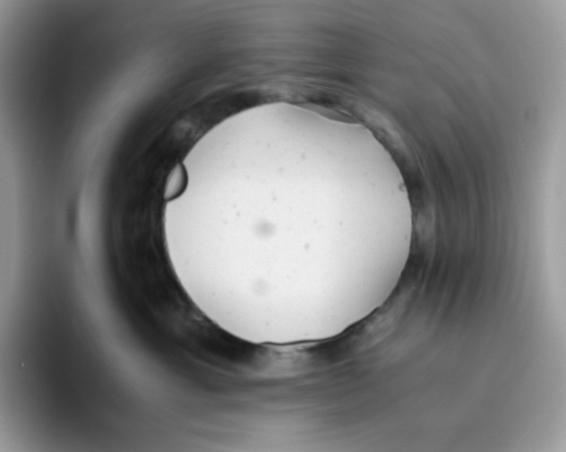 X0000093440429200711091457