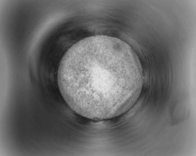 X0000093440430200711091457