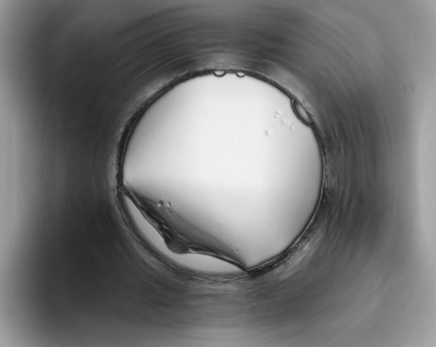 X0000093440437200711091457