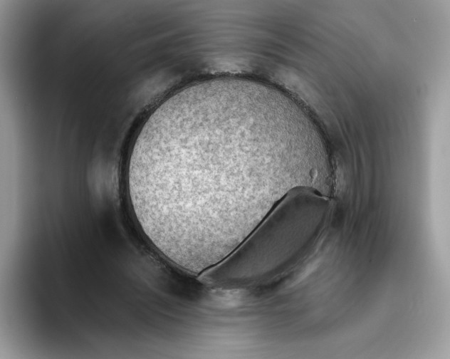 X0000093440444200711091457