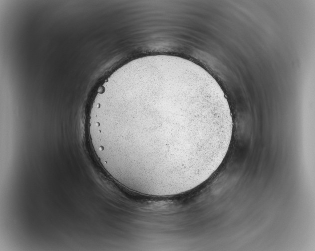 X0000093440446200711091457