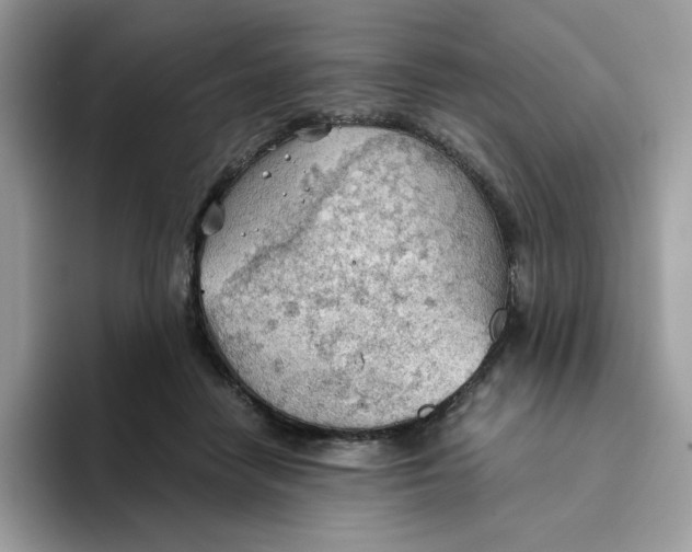 X0000093440458200711091457