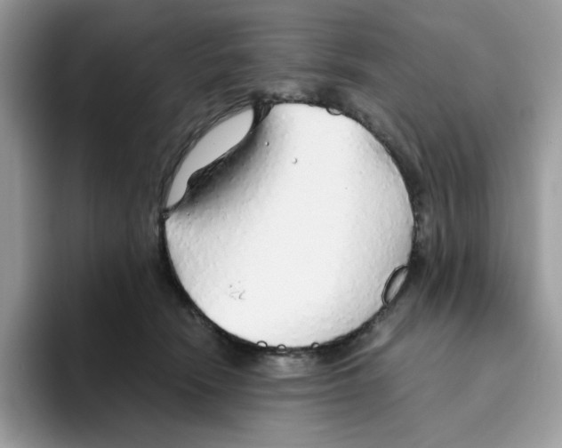 X0000093440466200711091457