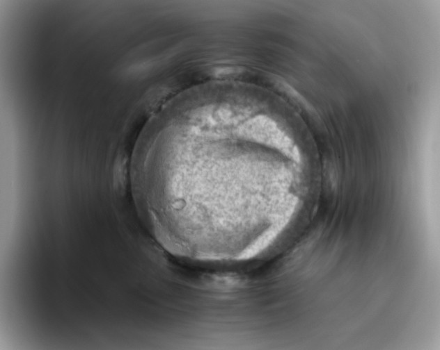 X0000093440475200711091457