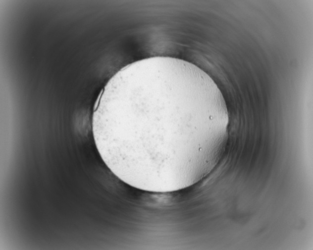 X0000093440478200711091457