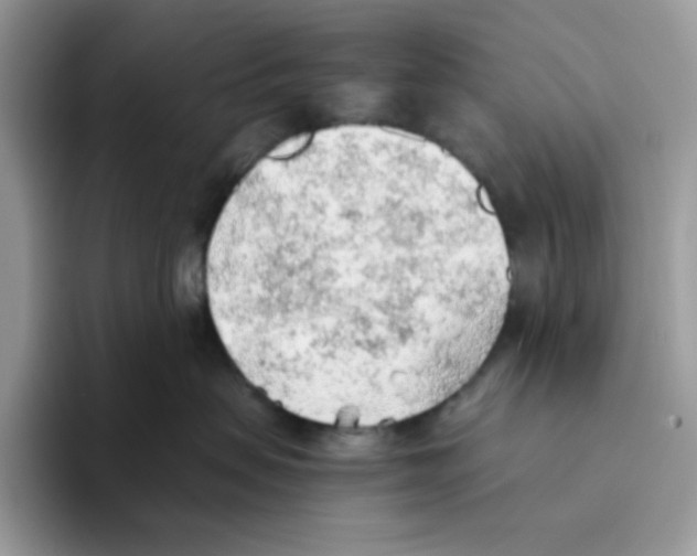 X0000093440479200711091457