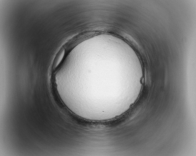 X0000093440483200711091457