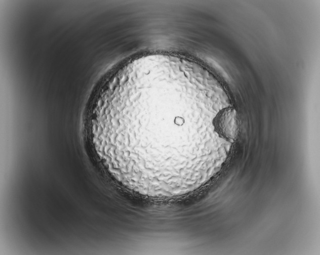 X0000093440487200711091457