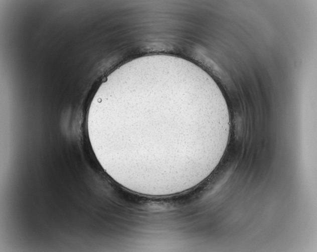 X0000093440490200711091457