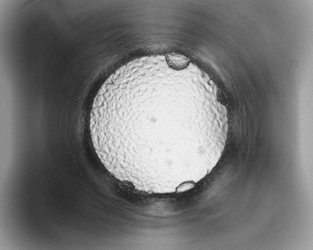 X0000093440495200711091457