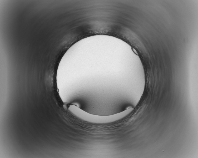 X0000093440501200711091457