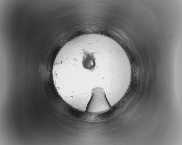 X0000093440507200711091456