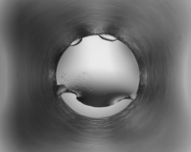 X0000093440521200711091456