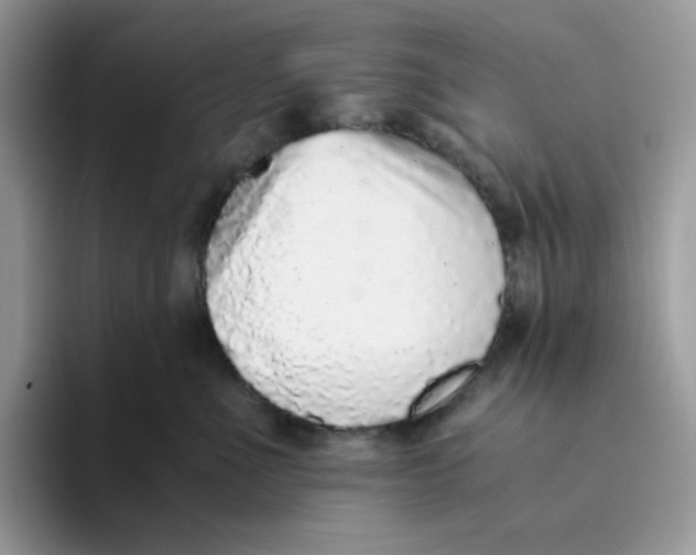 X0000093440523200711091456