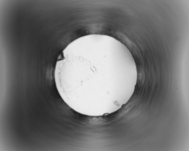 X0000093440525200711091456