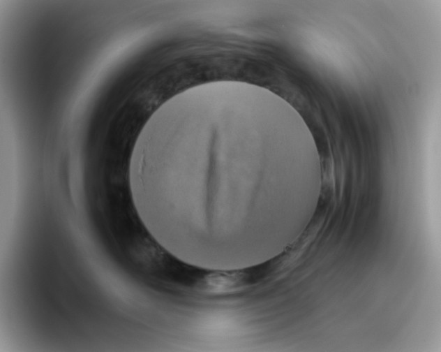 X0000093440526200711091456